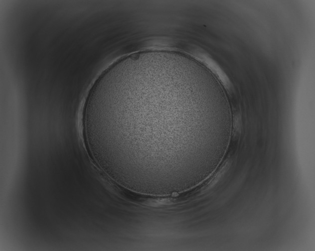 X0000103151435200808291421