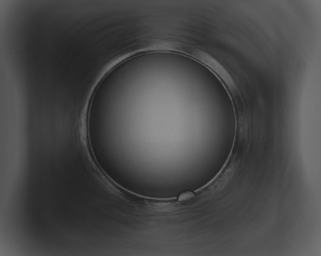 X0000103151436200808291421