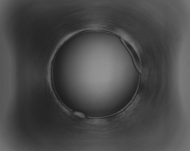 X0000103151437200808291421