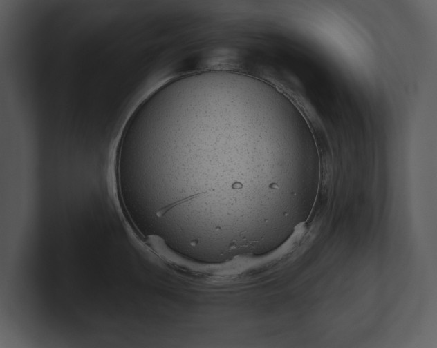 X0000103151439200808291421