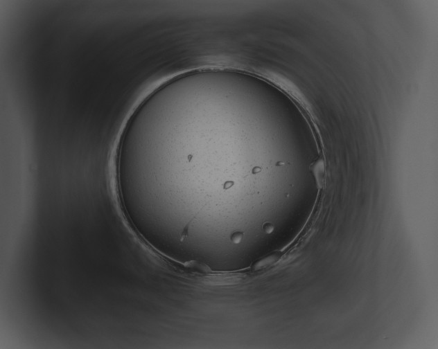 X0000103151440200808291421