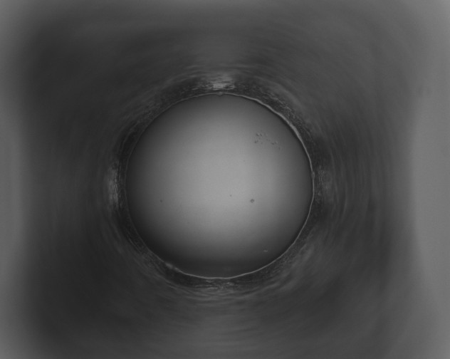 X0000103151442200808291420