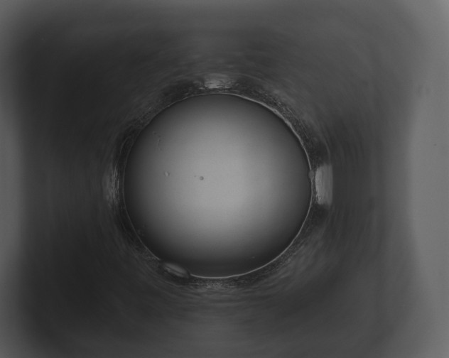 X0000103151443200808291420