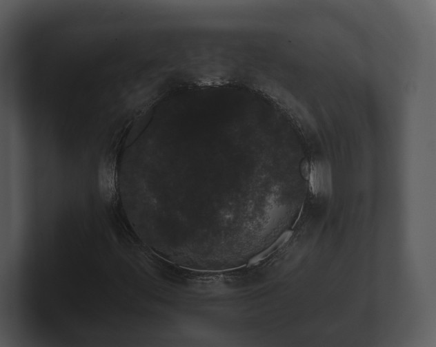 X0000103151444200808291420