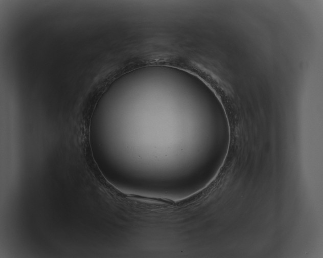 X0000103151447200808291420