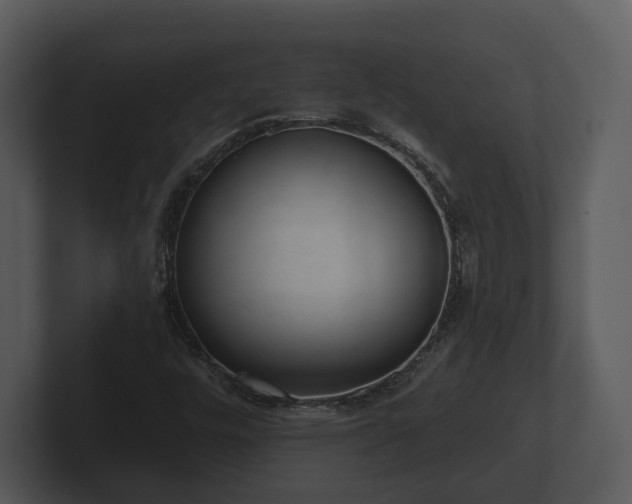 X0000103151448200808291420