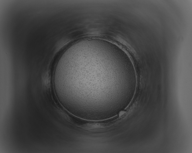 X0000103151450200808291420