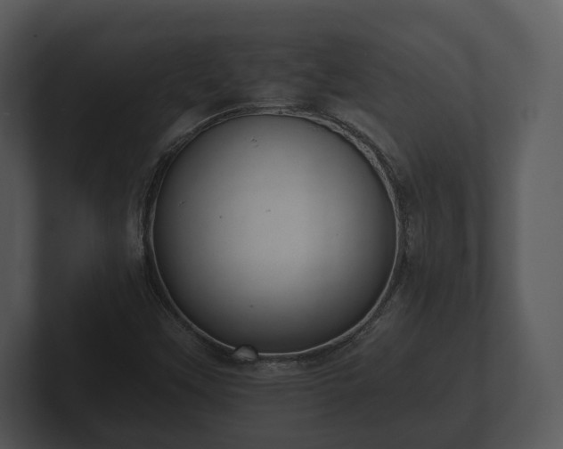 X0000103151451200808291420