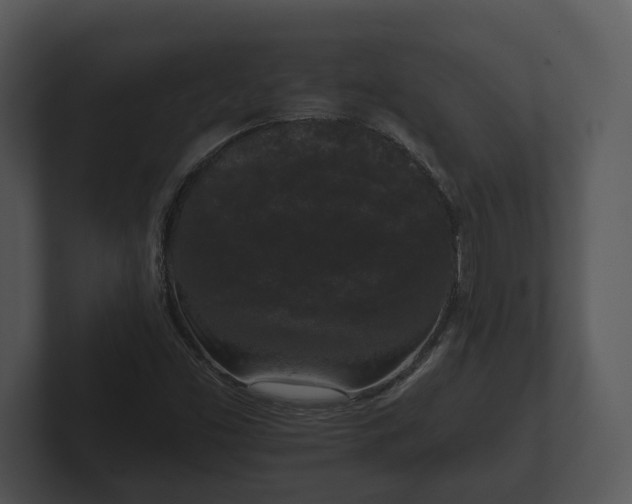 X0000103151453200808291420