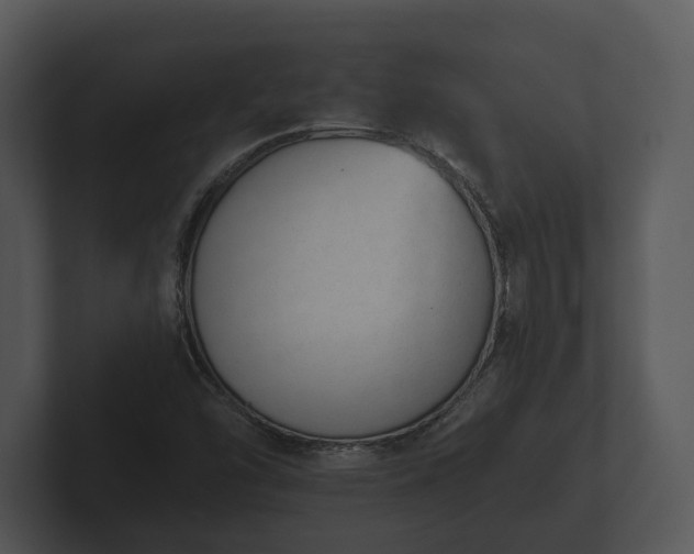 X0000103151454200808291420