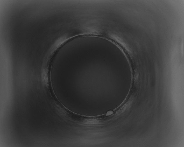 X0000103151455200808291420