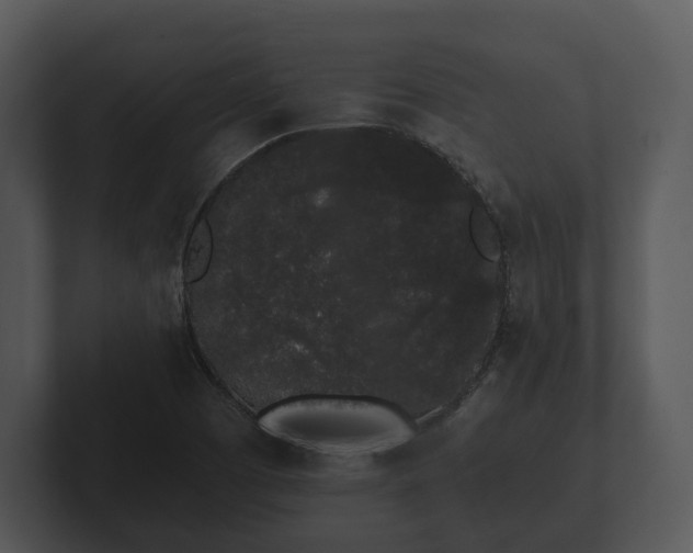 X0000103151457200808291420