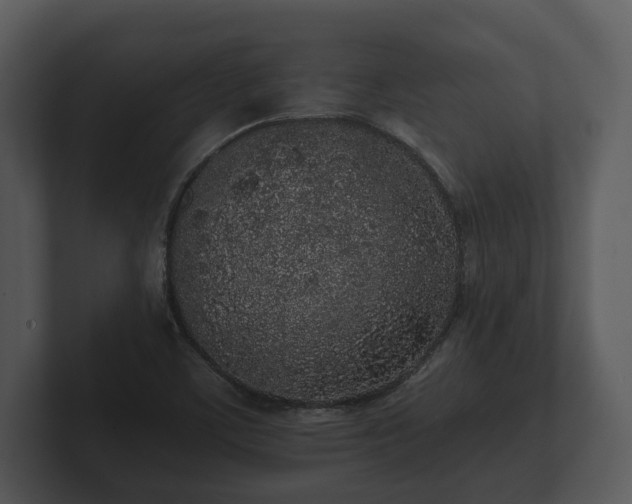 X0000103151459200808291420