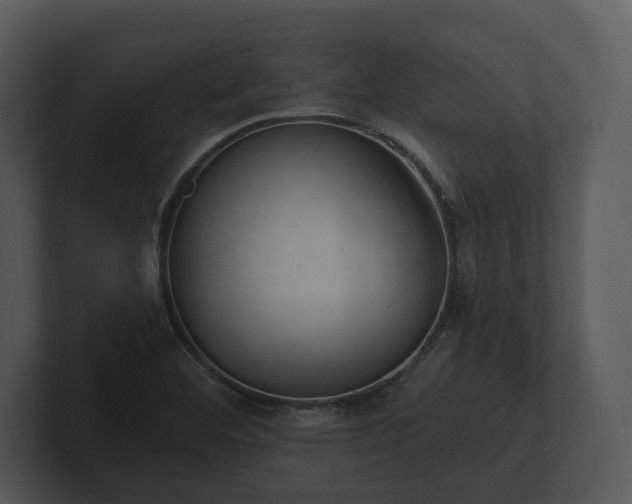 X0000103151460200808291420