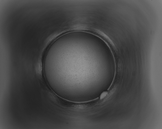 X0000103151461200808291420