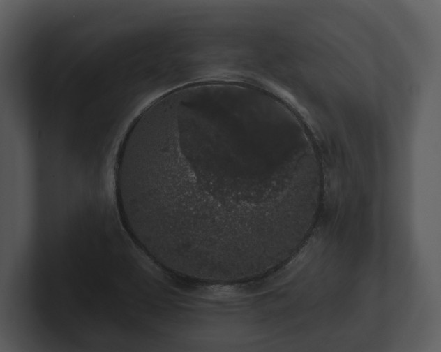 X0000103151463200808291420