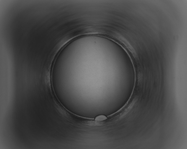 X0000103151465200808291420