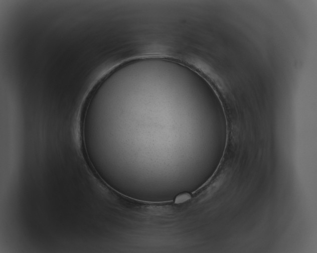 X0000103151469200808291420