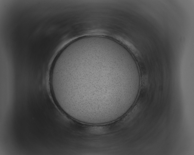 X0000103151470200808291420