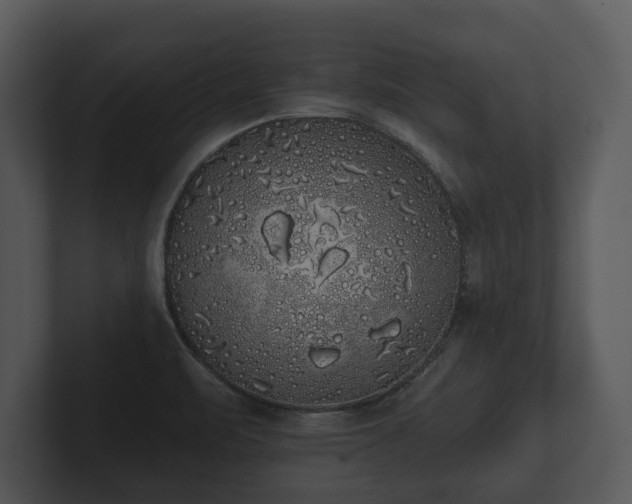 X0000103151471200808291420