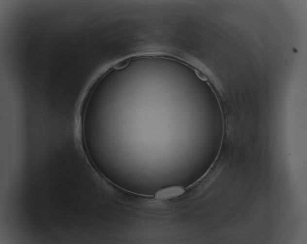 X0000103151472200808291420