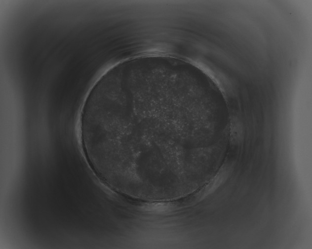 X0000103151474200808291420