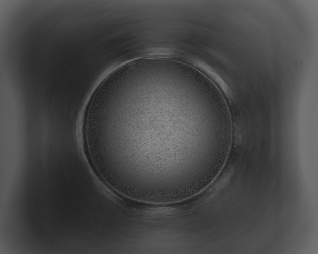 X0000103151475200808291420