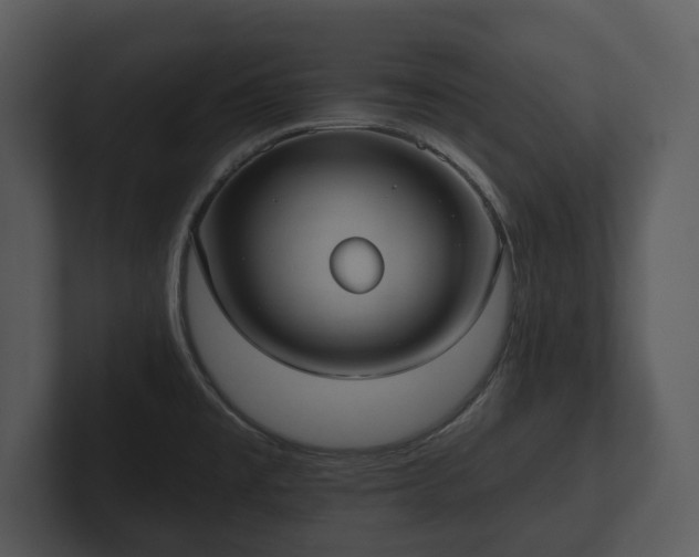 X0000103151477200808291420