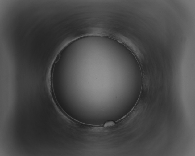 X0000103151479200808291420