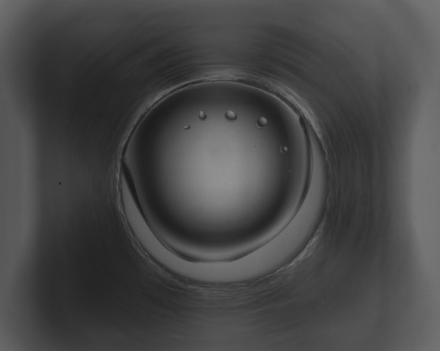 X0000103151481200808291420