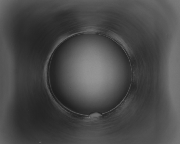 X0000103151483200808291419