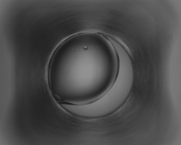 X0000103151484200808291419