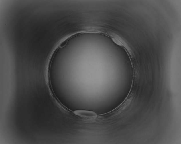 X0000103151485200808291419