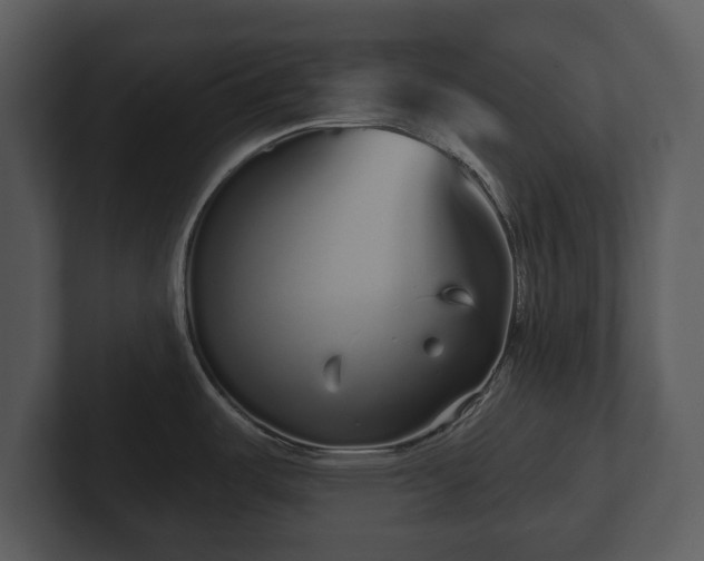 X0000103151487200808291419