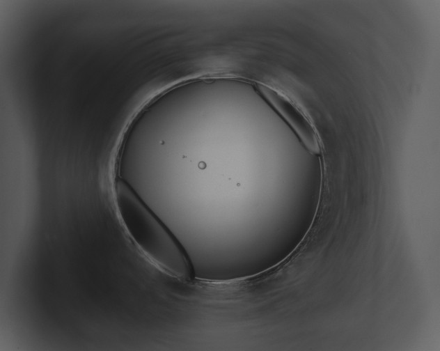 X0000103151488200808291419