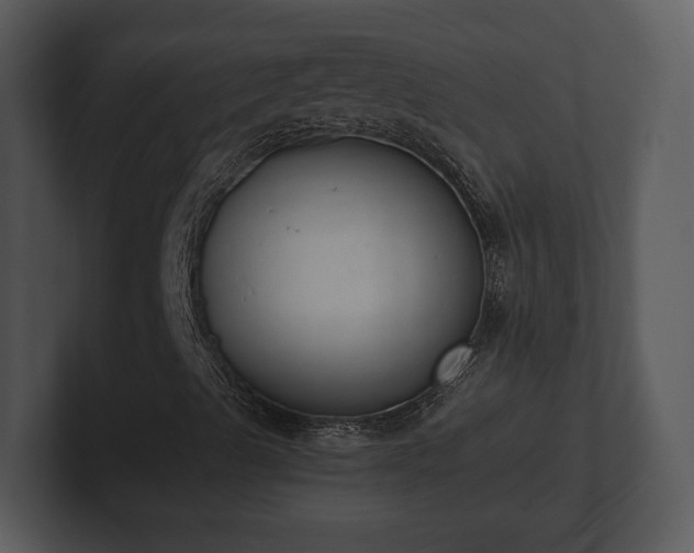 X0000103151489200808291419