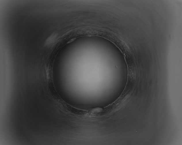 X0000103151490200808291419