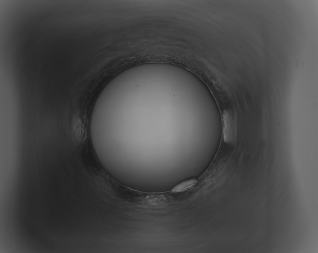 X0000103151491200808291419