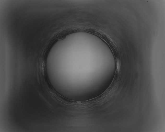 X0000103151492200808291419