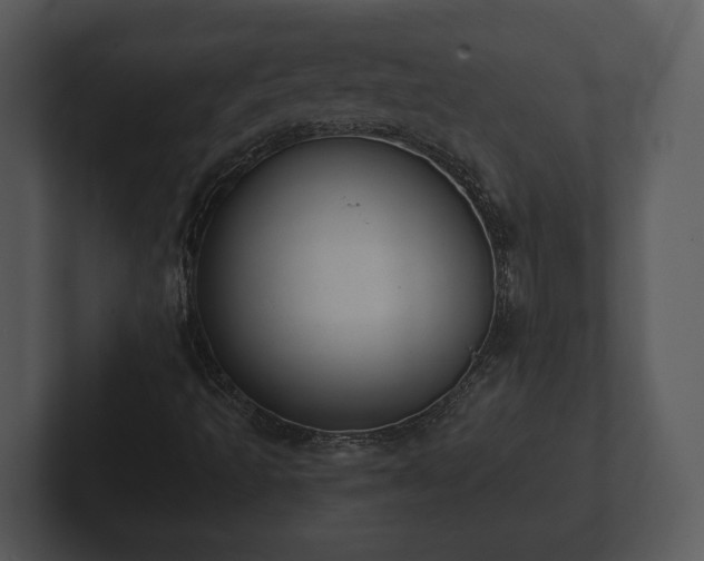 X0000103151493200808291419