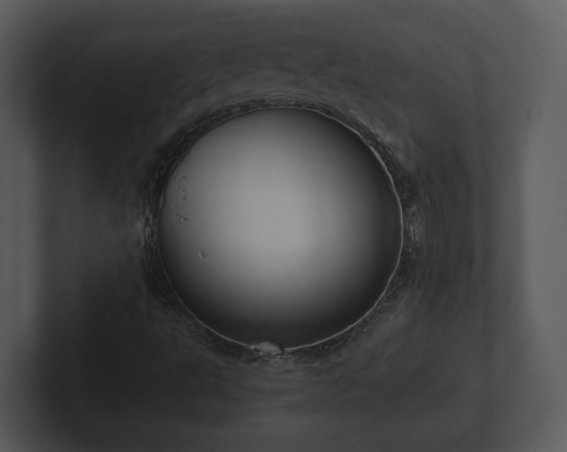 X0000103151495200808291419