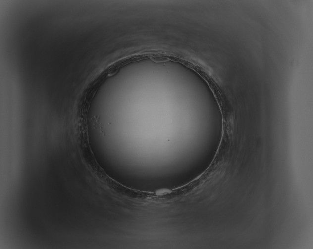 X0000103151496200808291419