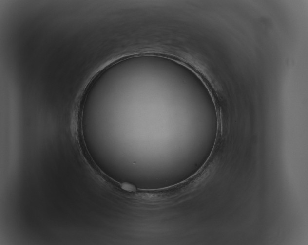 X0000103151500200808291419