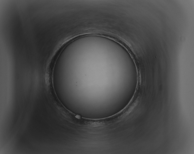 X0000103151501200808291419