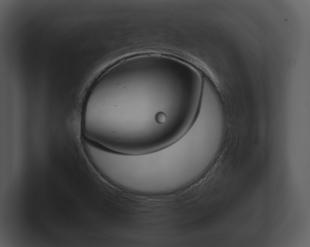 X0000103151504200808291419