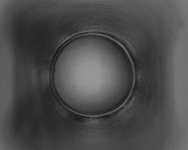 X0000103151505200808291419