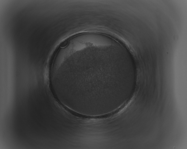 X0000103151506200808291419