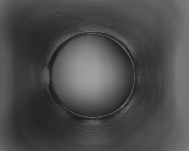 X0000103151509200808291419