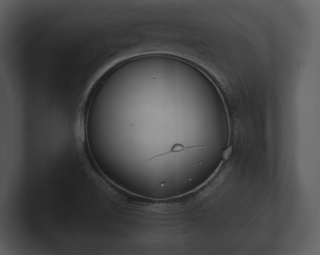 X0000103151510200808291419