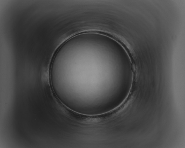 X0000103151513200808291419